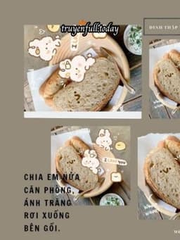 Chia Em Nửa Căn Phòng, Ánh Trăng Rơi Xuống Bên Gối