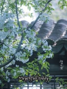 Phượng Thê Ngô - Đại Khẩu Đào Tô